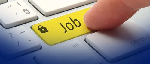 自學編程與科班出身差異何在？網(wǎng)友直呼“說到心坎里”